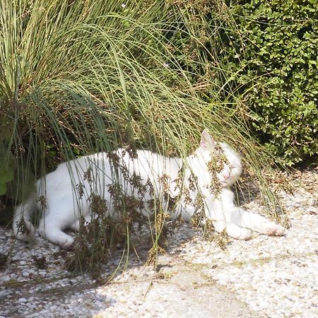 B&B Landgoed Rijckholt Geersdijk Dış mekan fotoğraf