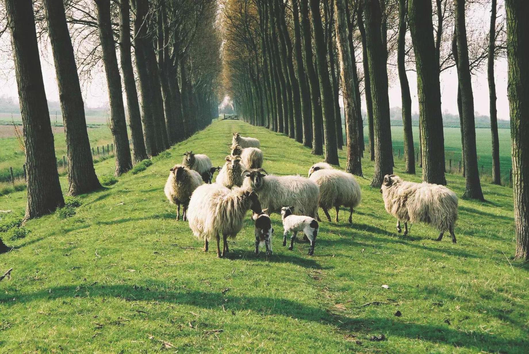 B&B Landgoed Rijckholt Geersdijk Dış mekan fotoğraf